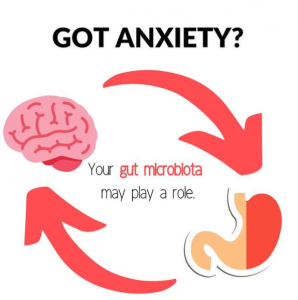 How does your gut microbiota influence things like anxiety? and can diet help? Andrea Hardy RD explains in this Instagram post
