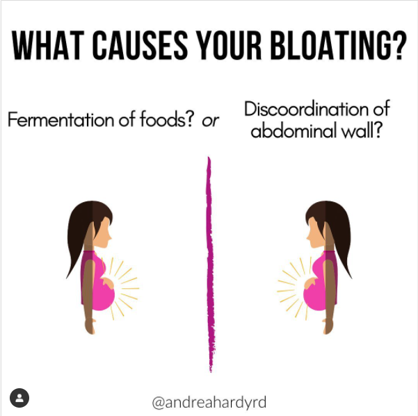 What causes your bloating and/or distention? Find out in this post on Andrea Hardy RD's instagram!